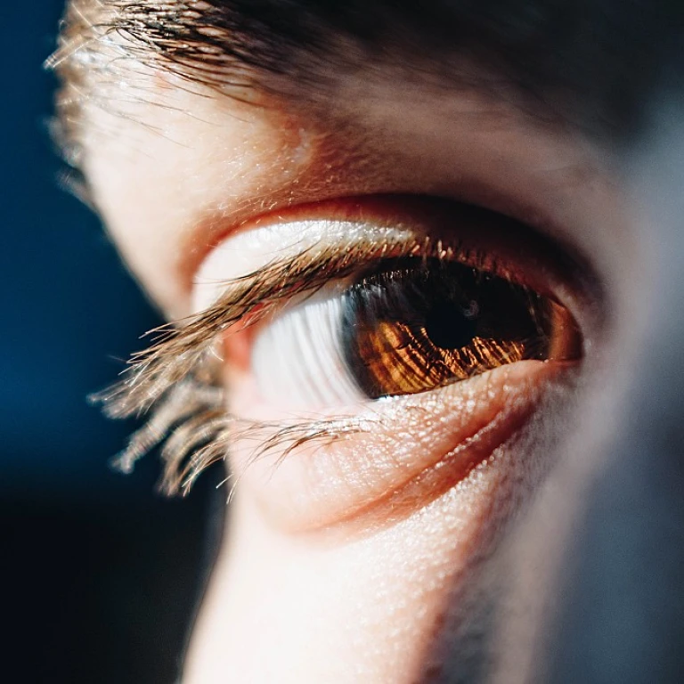 L'émergence du matin : un regard sur l'industrie des médias